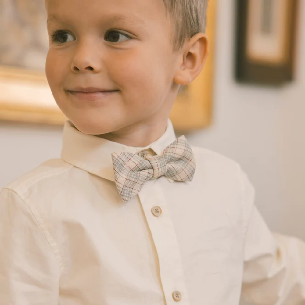 Bow Tie Fall Plaid