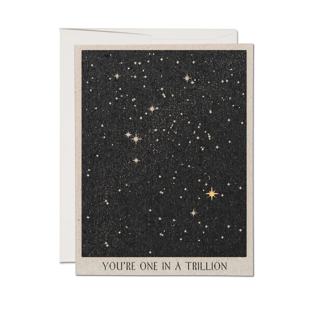 One In A Trillion Friendship Greeting Card
