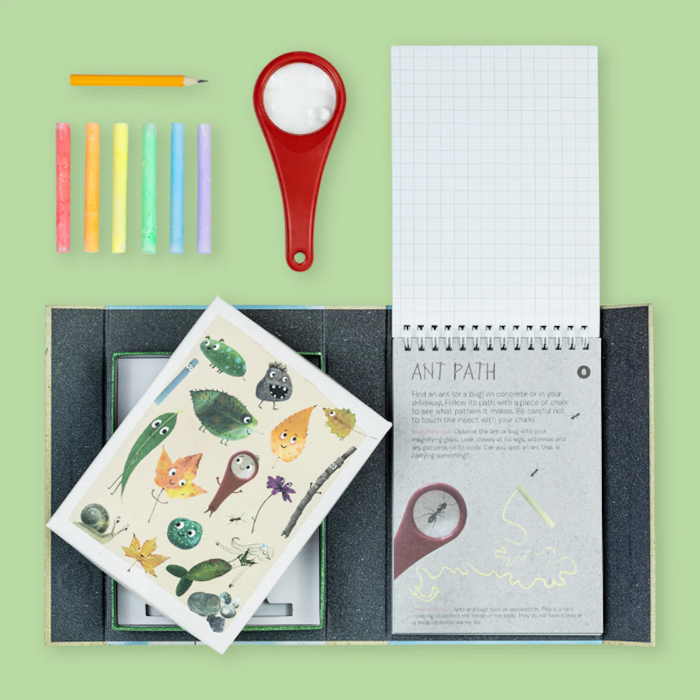 Outdoor Activity Set Back To Nature