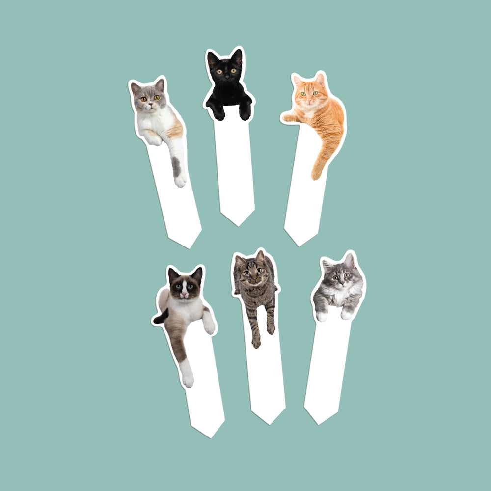 Pikkii Page Markers Cat in use
