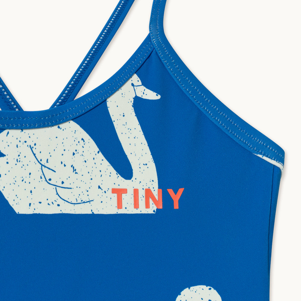 Big Swans Swimsuit Blue