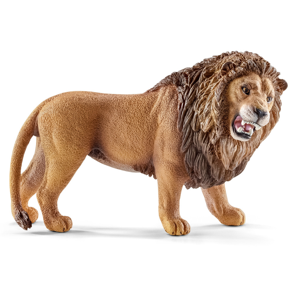 Lion Roaring
