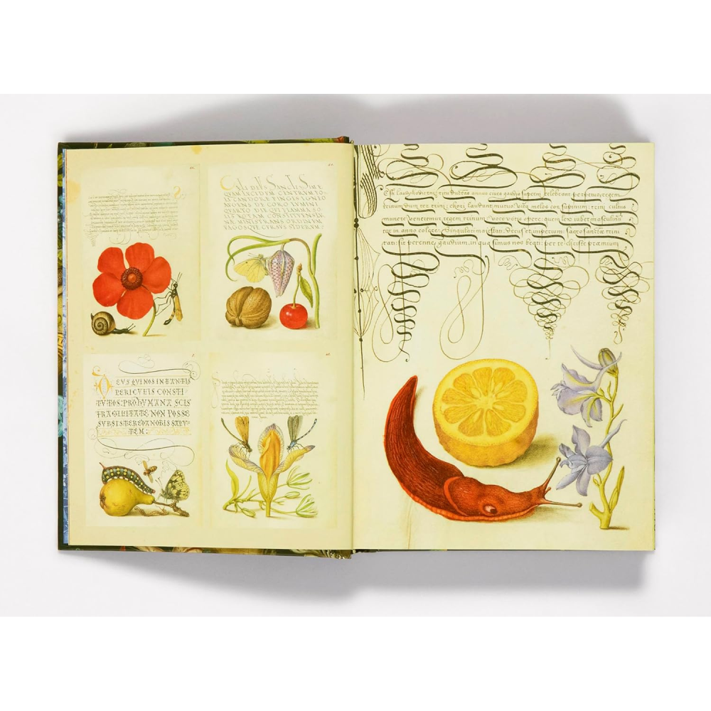 The Esoterica Sticker Book: From Astrology to Tarot