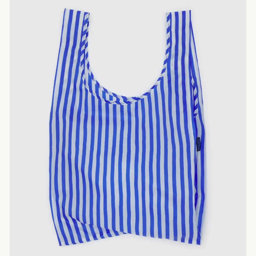 Blue Painted Stripe Standard Baggu