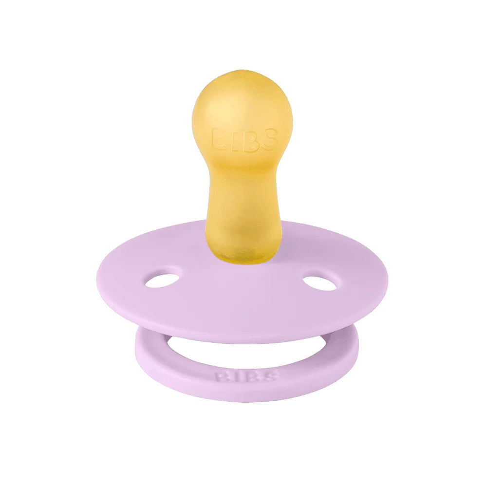 Bibs Dummy Ladybug Violet Sky/ Petal Round