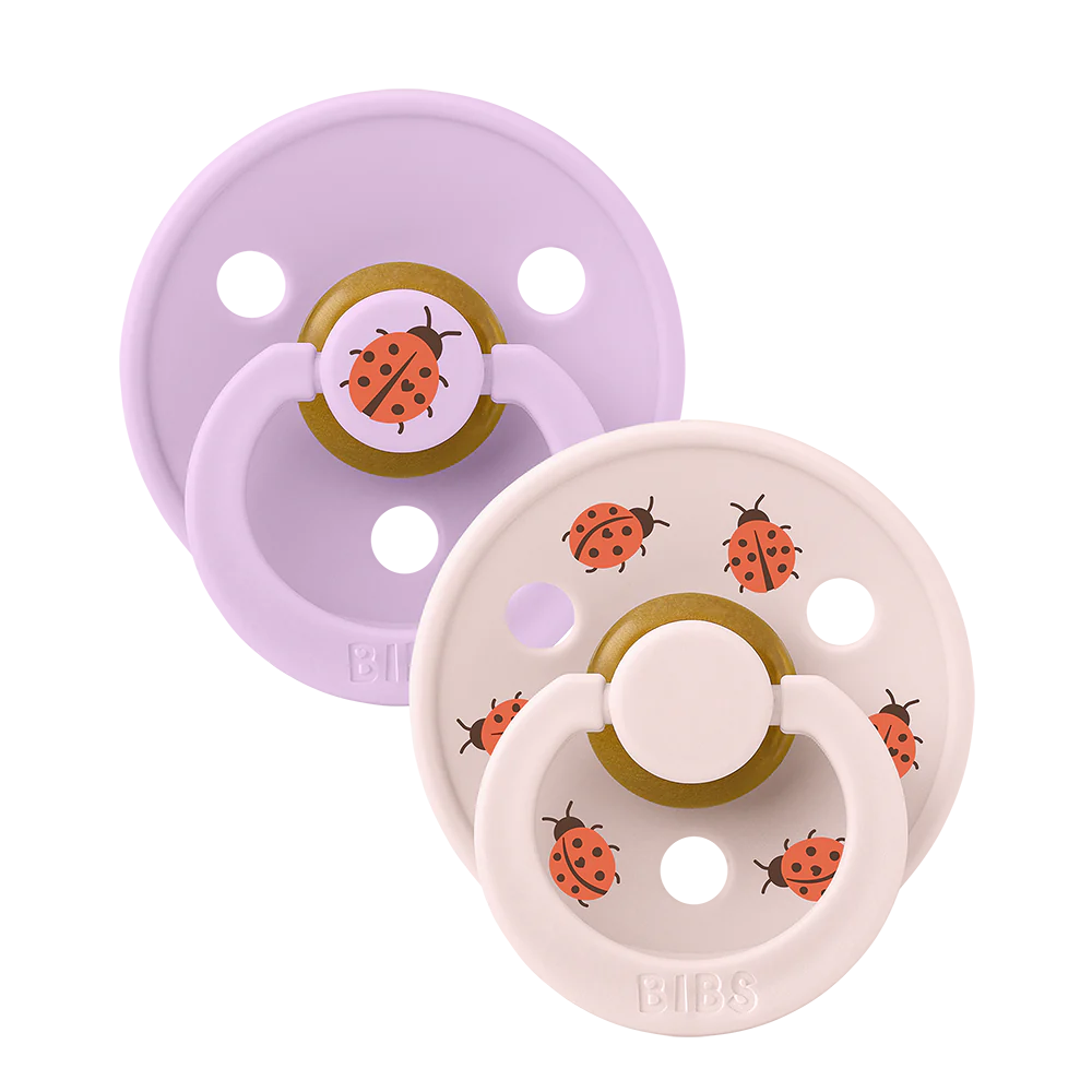 Bibs Dummy Ladybug Violet Sky/ Petal Round