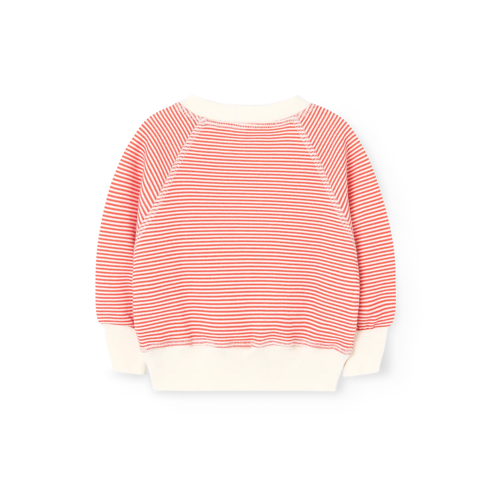 Jackal Baby Sweatshirt - flat back
