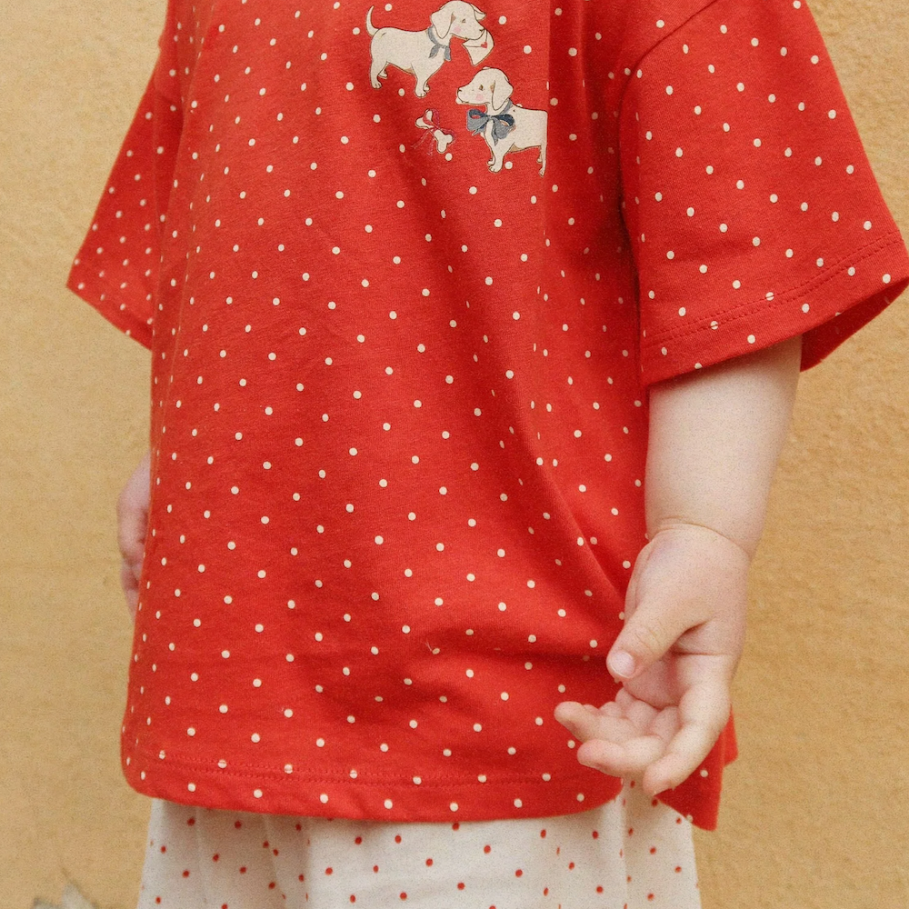 Famo Box Fit Set Fraise Dot