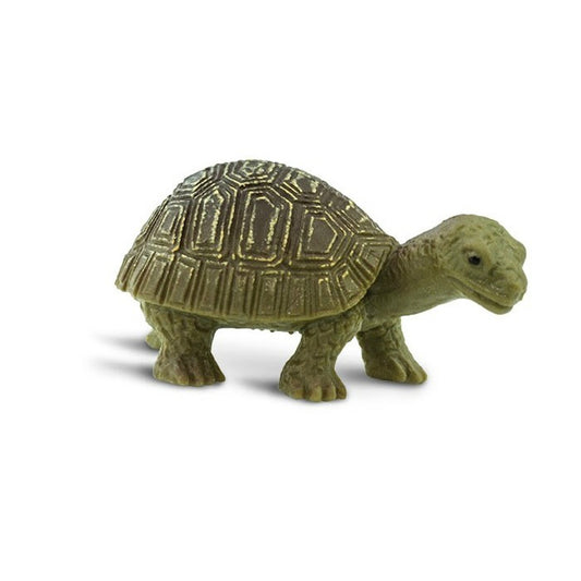 Goodluck Minis Tortoise