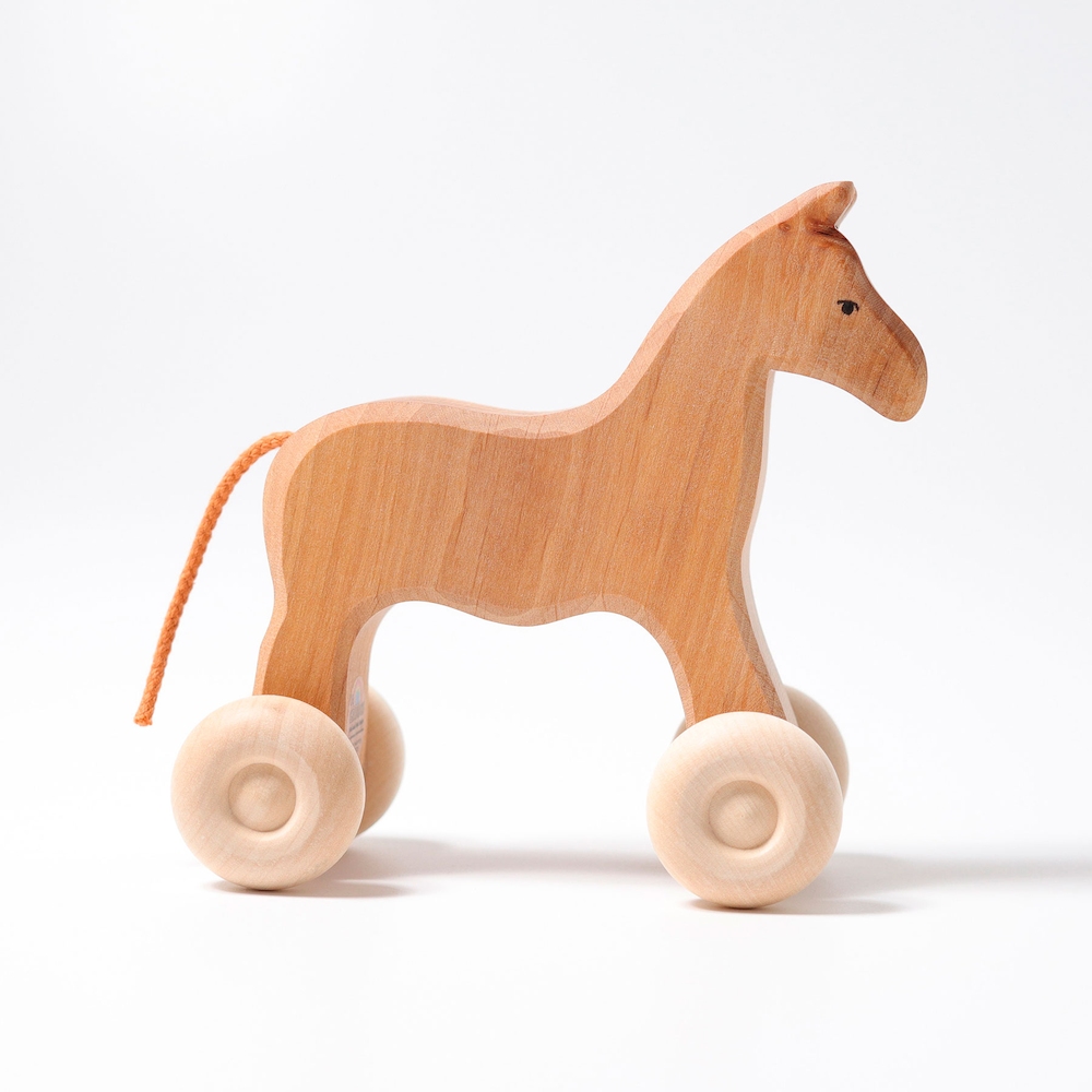 Wooden Horse Willy