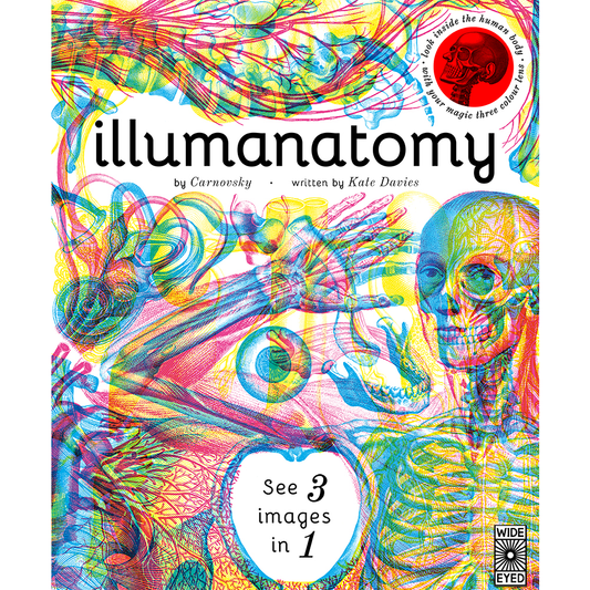 Illumanatomy