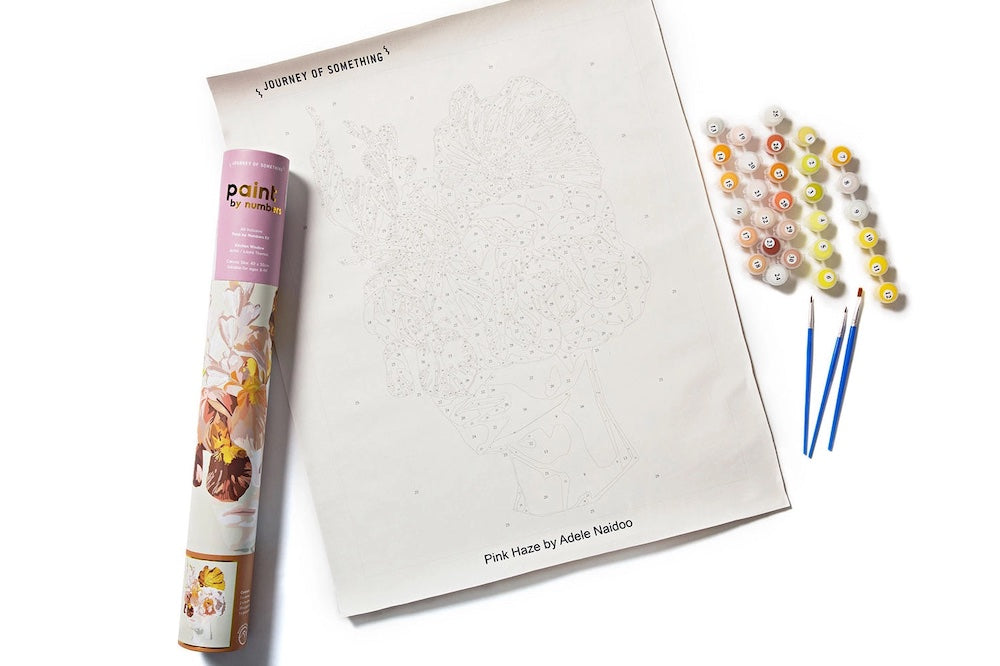 Paint By Numbers Pink Haze