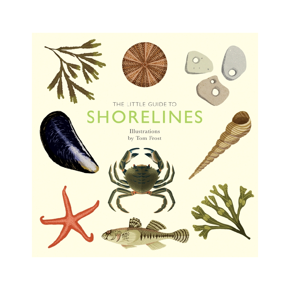The Little Guide To Shorelines
