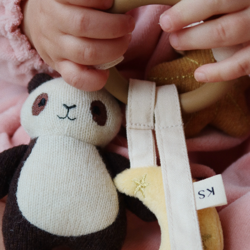 Activity Ring Panda