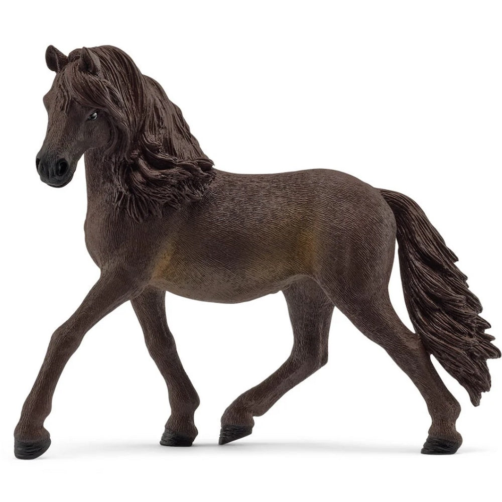 Andalusien Mare Limited Edition
