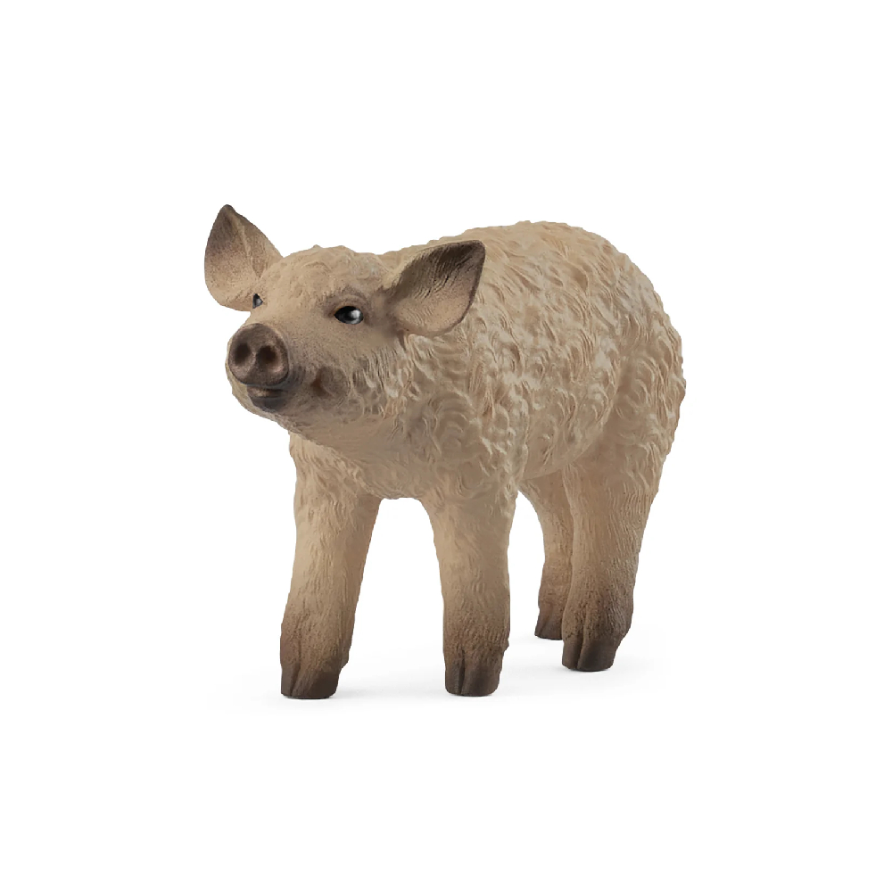 Mangalica Piglet