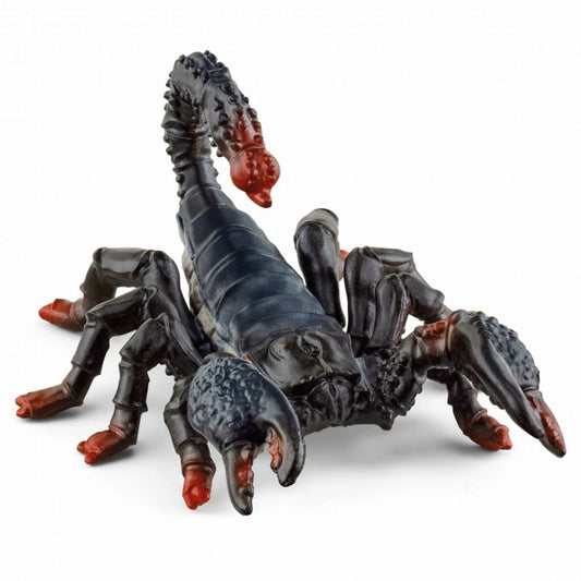 Emperor Scorpion