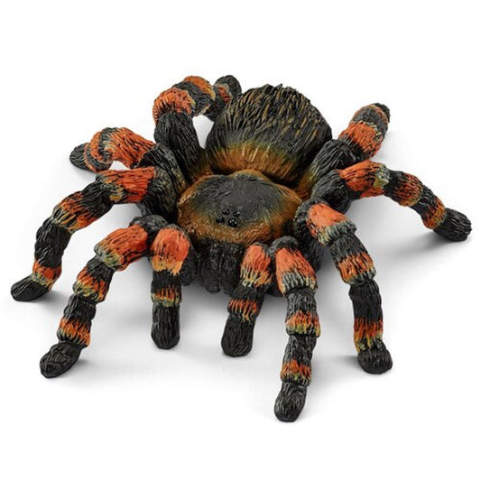 Tarantula