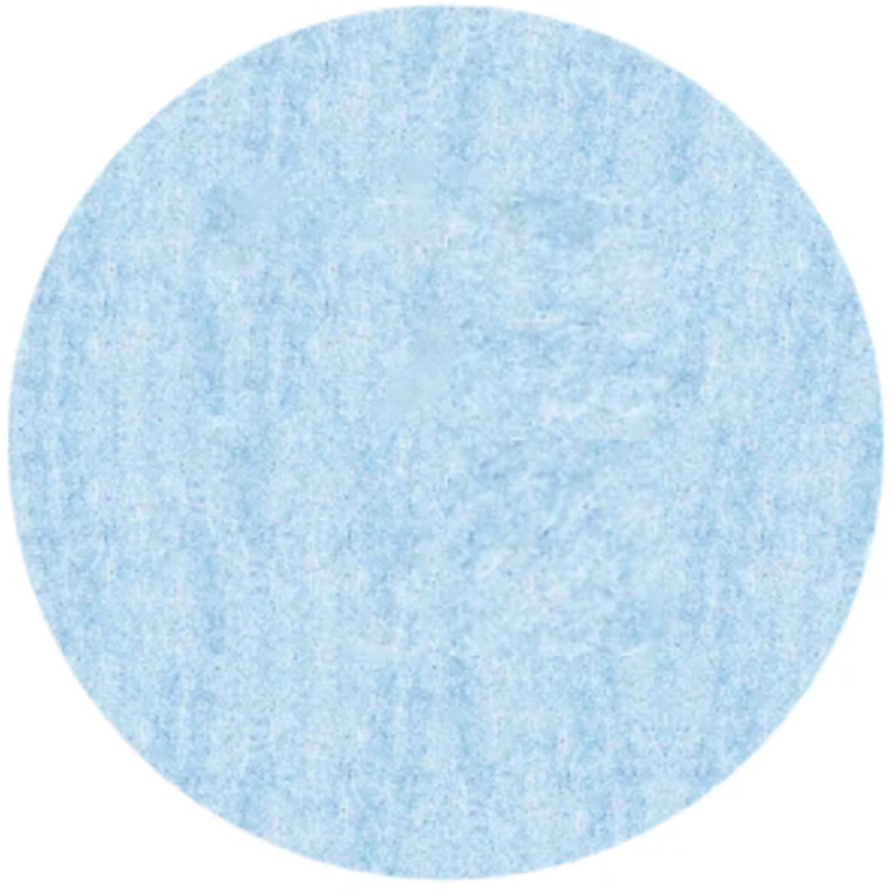 Lyra Colour Pencil Individual