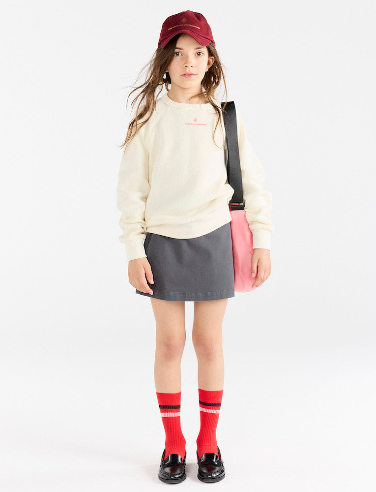 Dark Grey Swan Mini Skirt
