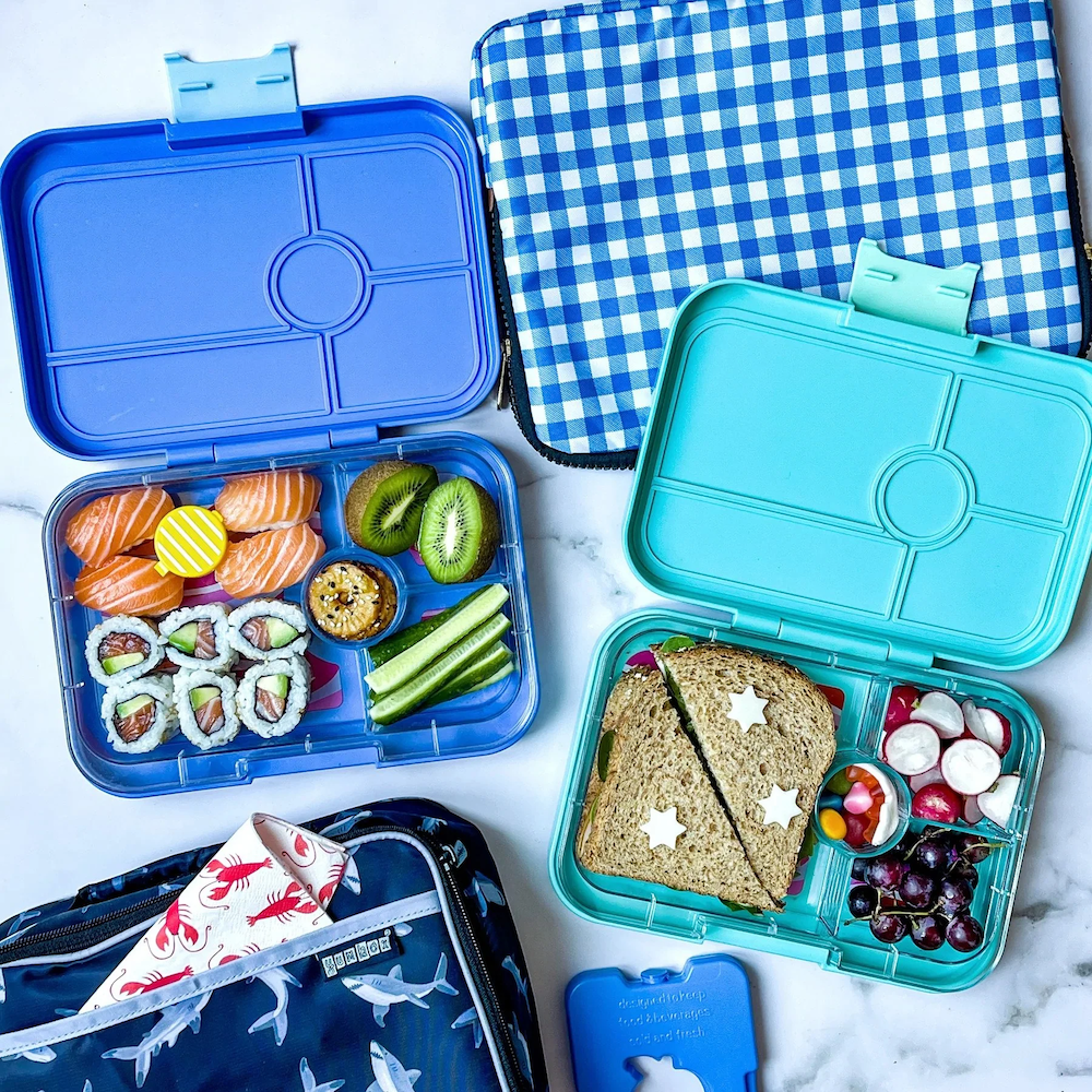 Tapas Lunch Box 4C Monte Carlo Blue Shark