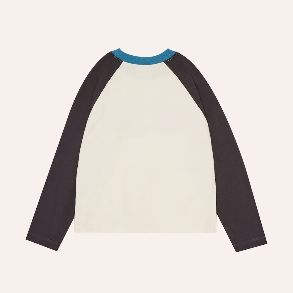 Squirrels Colour Block T Shirt