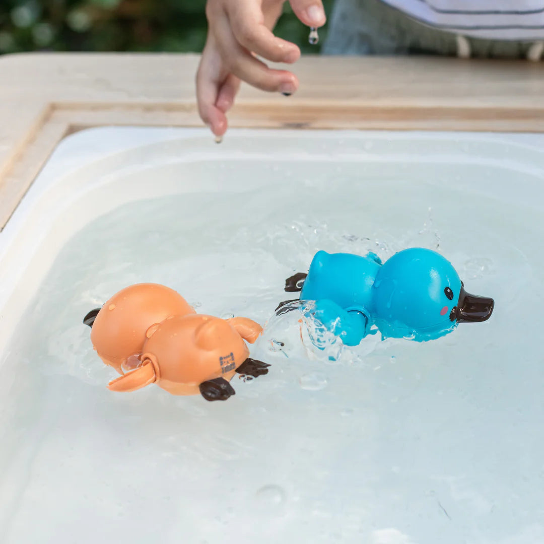 Bath Racers Platypuses