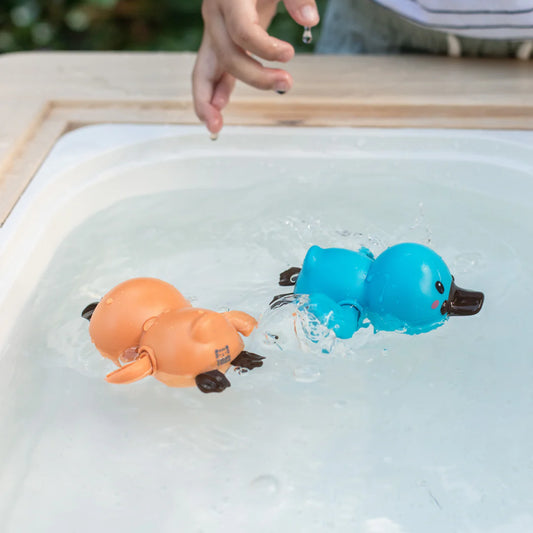 Bath Racers Platypuses