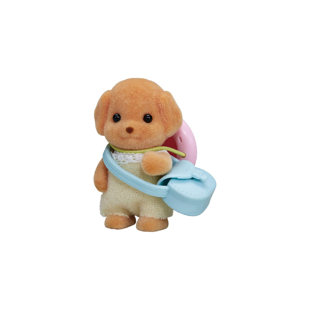 Toy Poodle Baby