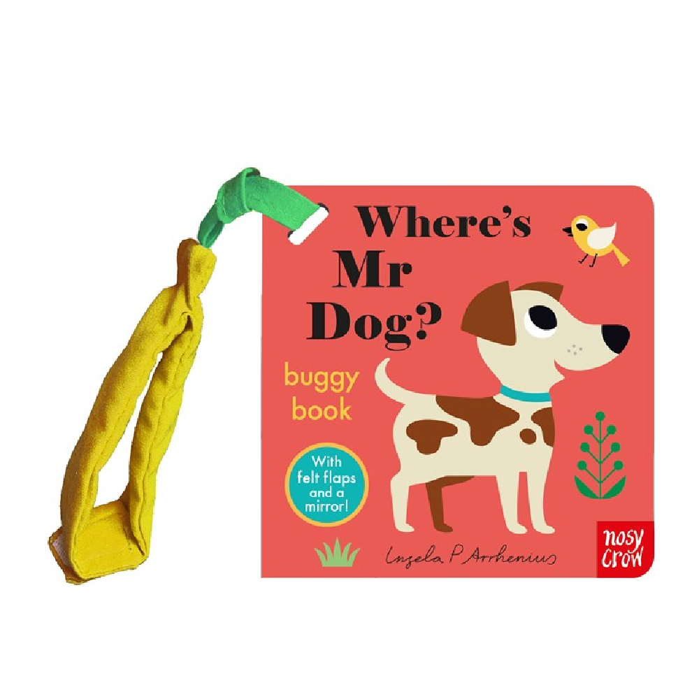 Where's Mr Dog? Buggy Book