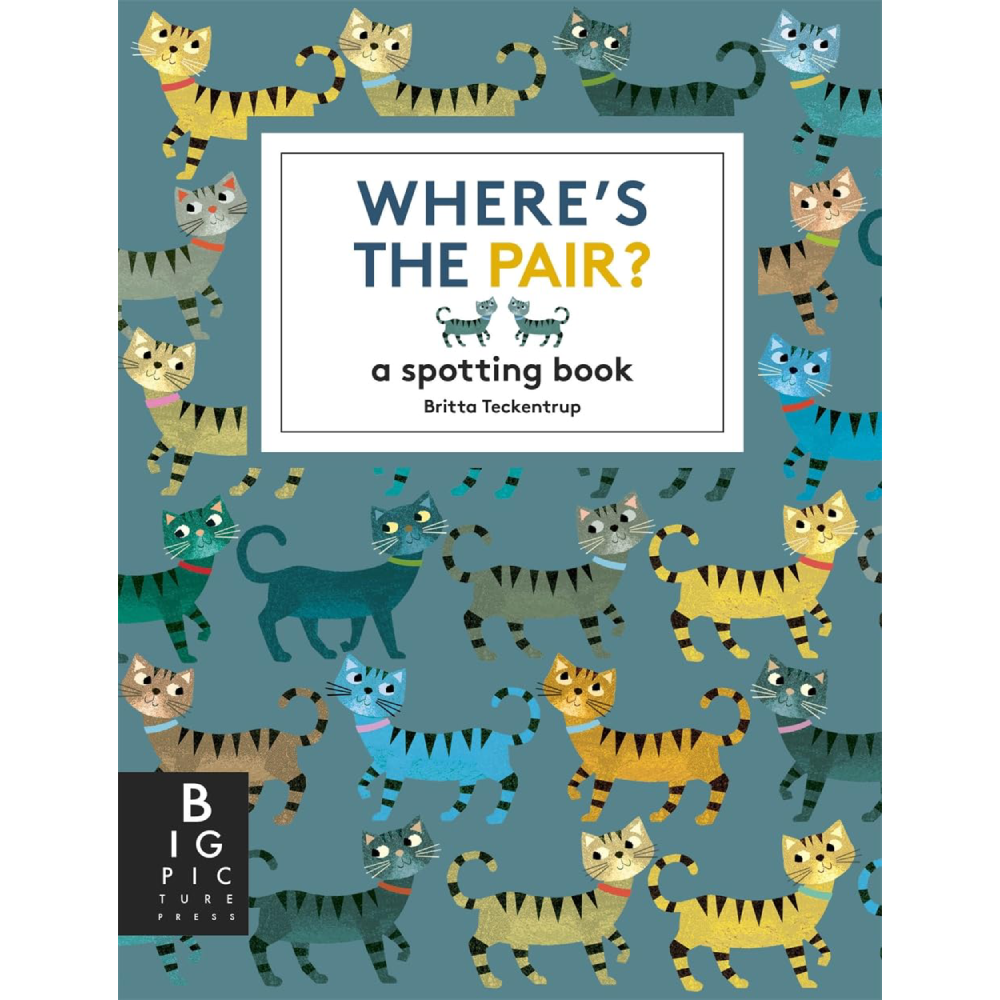 Where's The Pair? A Spotting Book