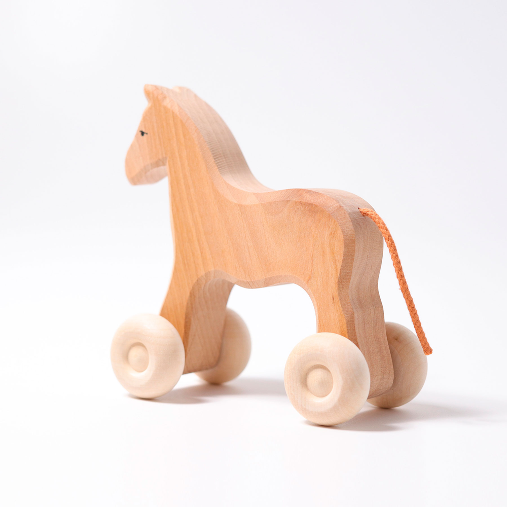 Wooden Horse Willy
