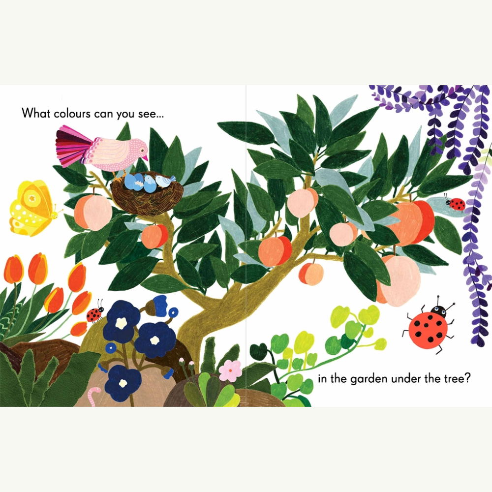 Colours In The Garden