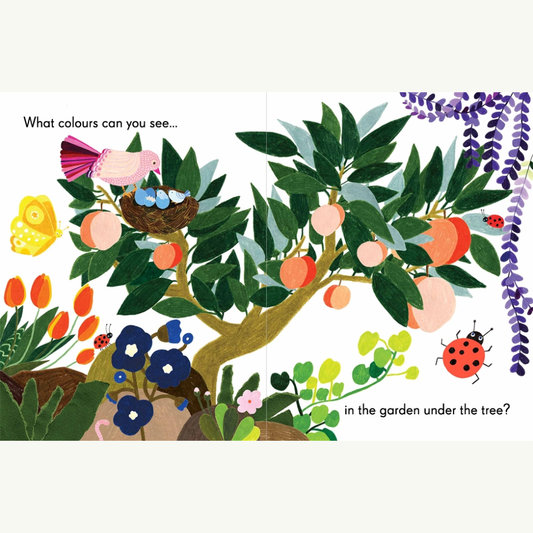 Colours In The Garden