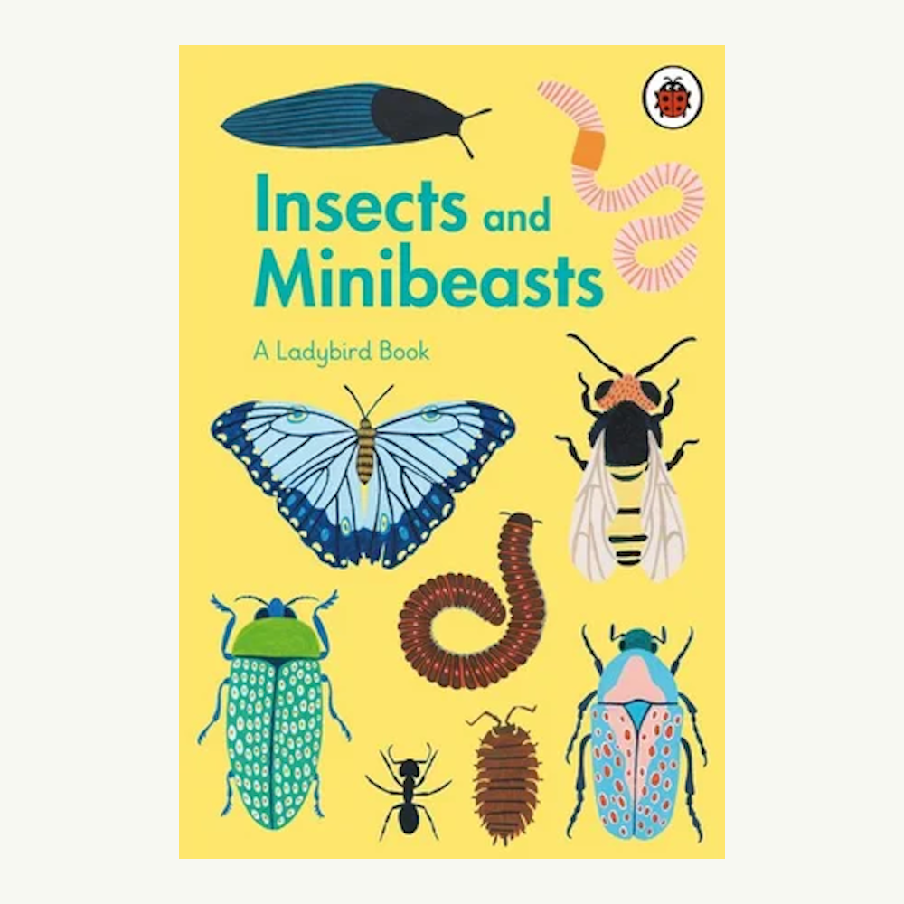 Insects and Minibeasts; A Ladybird Book