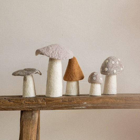 Morel Mushroom Small