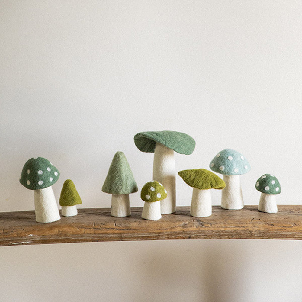Morel Mushroom Small