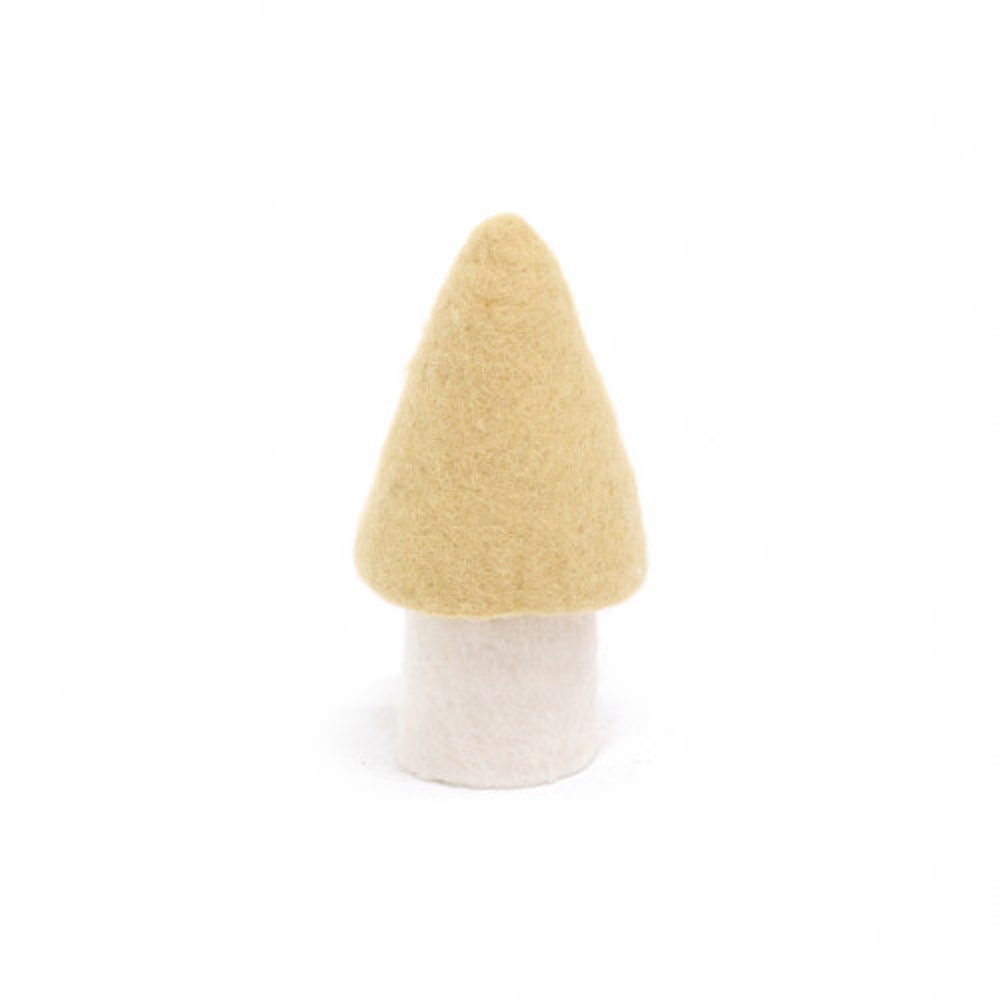 Morel Mushroom Large Tender Wheat