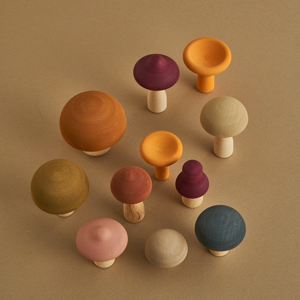 Mushrooms - Forage