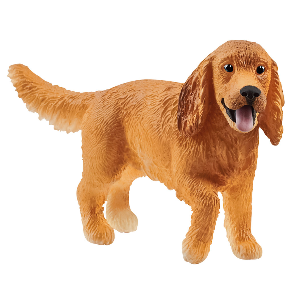 English Cocker Spaniel