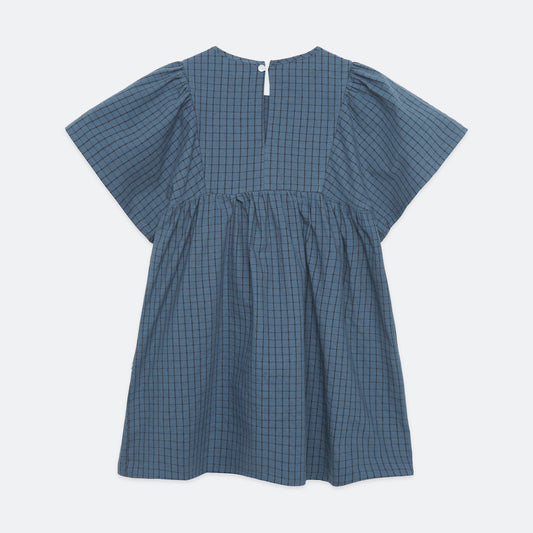 Blue Dog Butterfly Dress