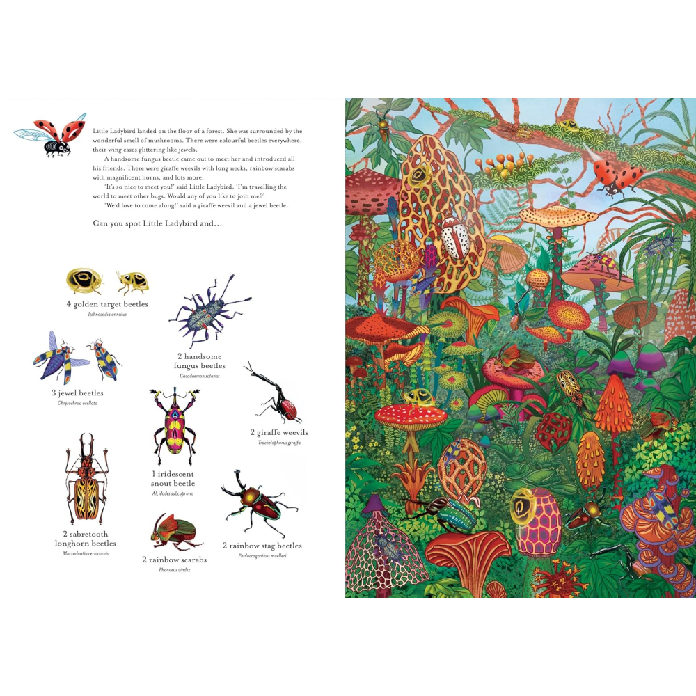 The Incredible 3D Bug Hunt