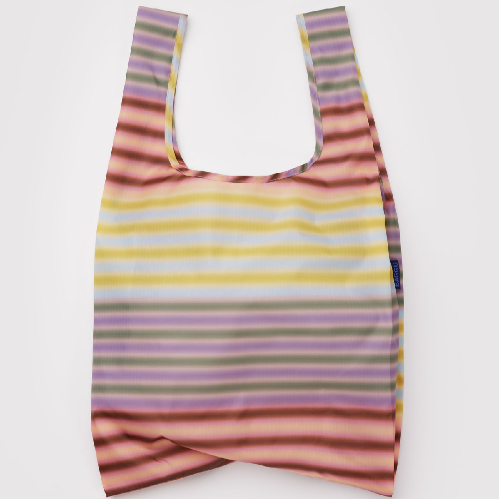 Standard Baggu Gradient Stripe Multi