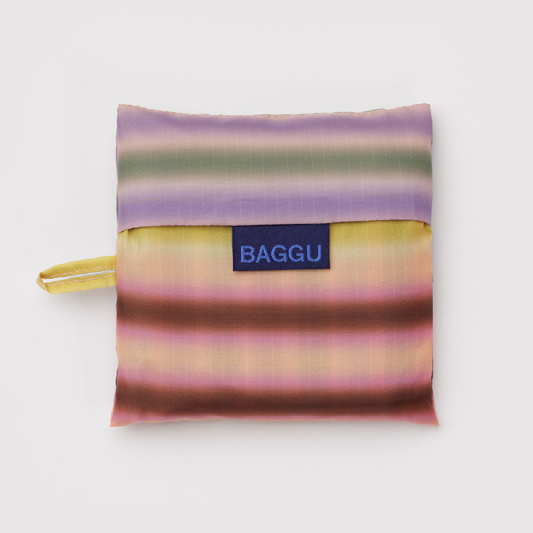Standard Baggu Gradient Stripe Multi