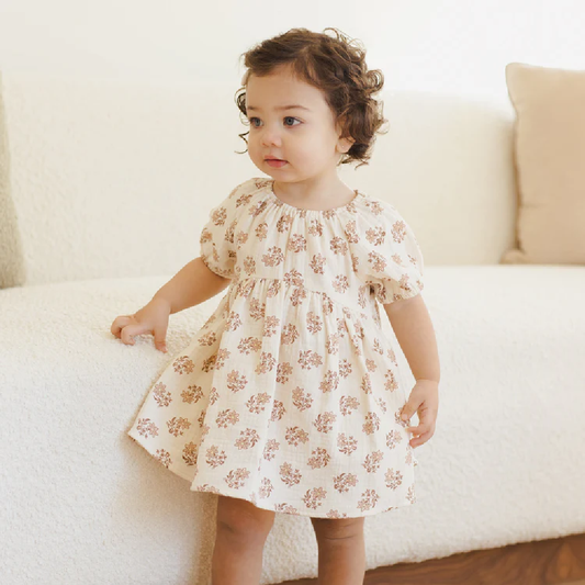 Bella Dress Daylily