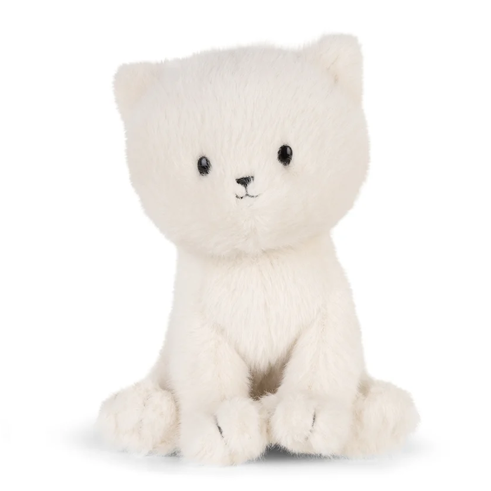 Dolly the Ragdoll ECO