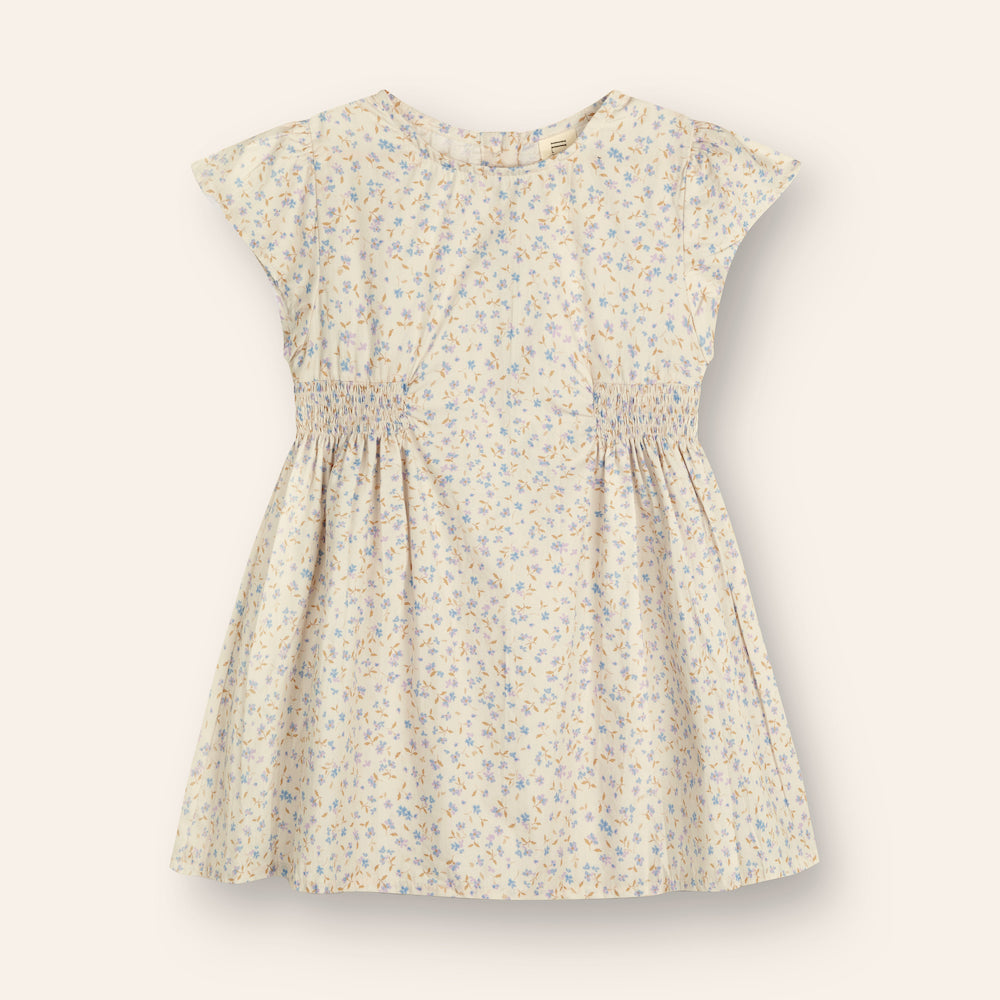 Blossom Dress Indigo Bloom Print