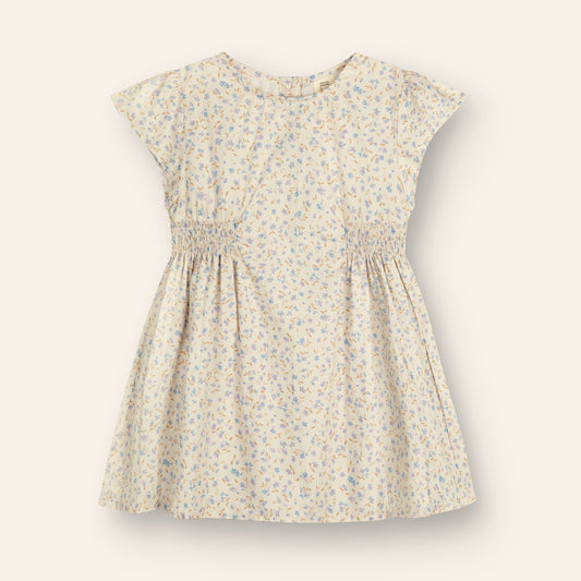 Blossom Dress Indigo Bloom Print