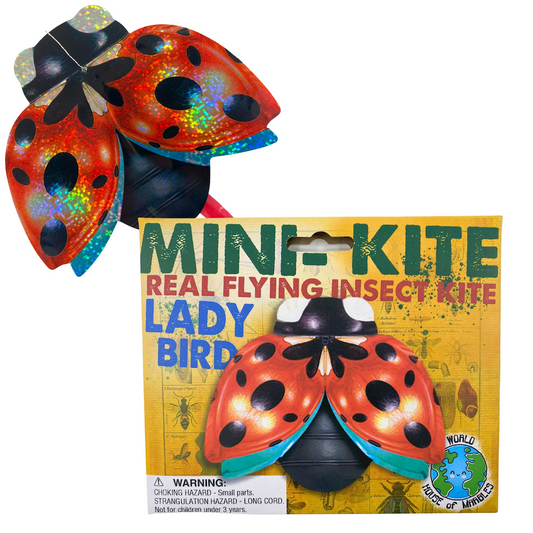 Mini Kite Real Flying Insects Ladybird