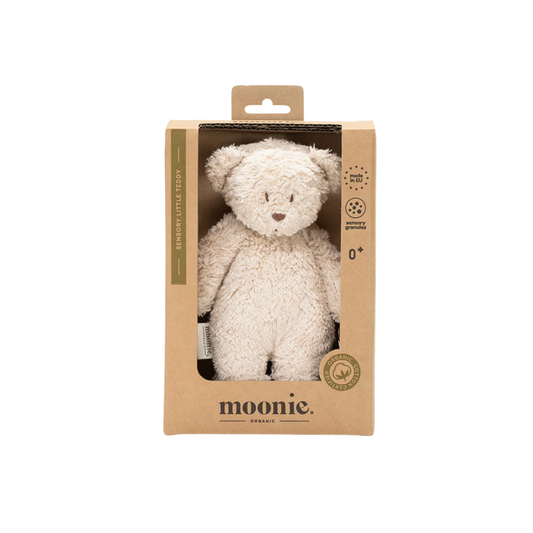 Sensory Little Teddy Sand